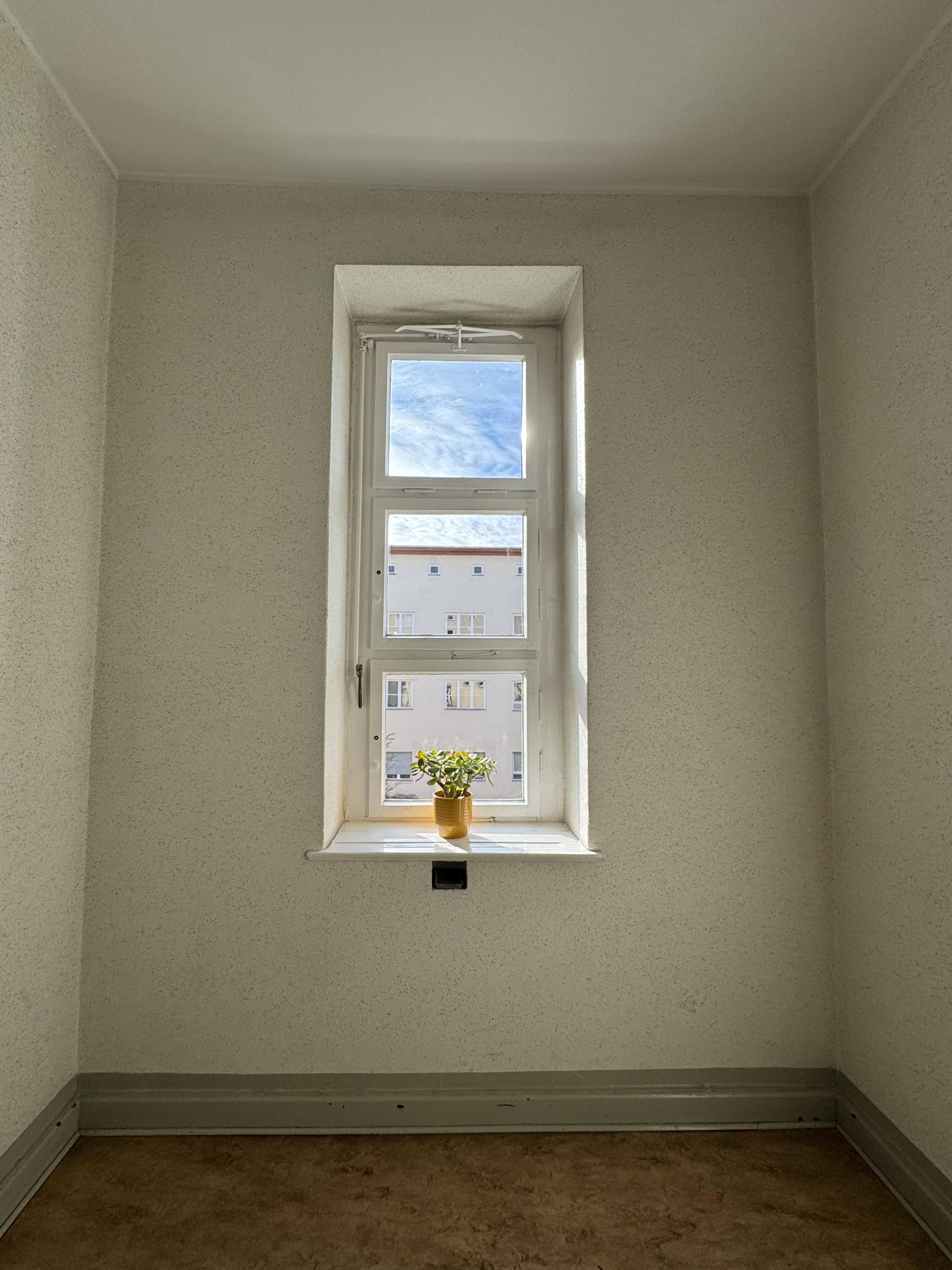 Window