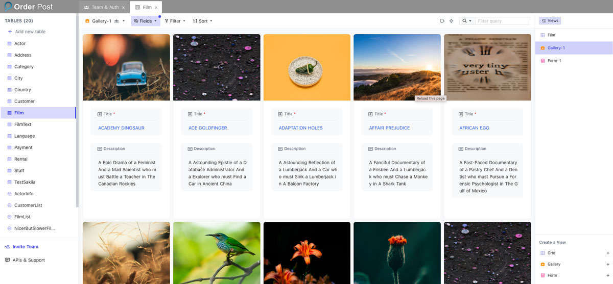 Image Gallery