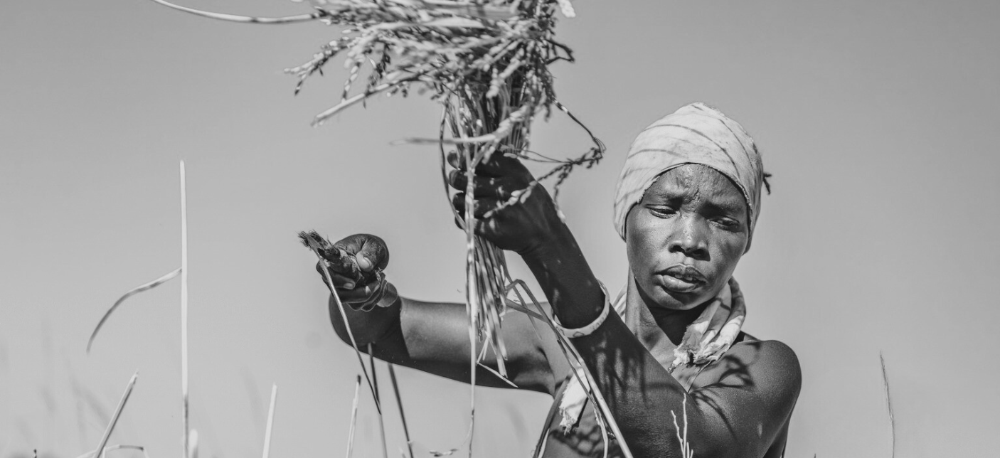 Market Study in Kajo Keji and Morobo Counties, Central Equatoria