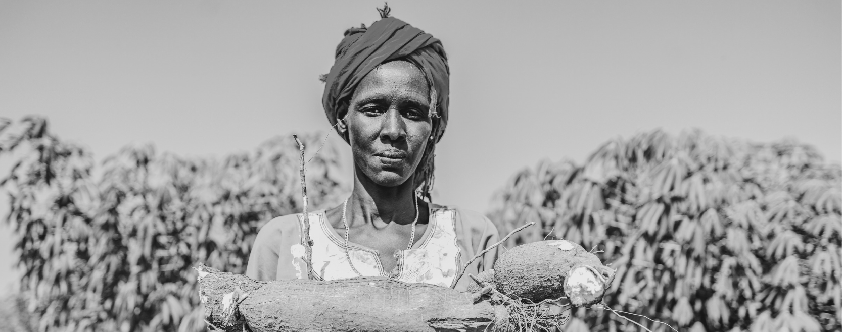 EXTERNAL EVALUATION | Sustainable Improvement of Community Resilience Against Stressors in Wulu and Rumbek Centre