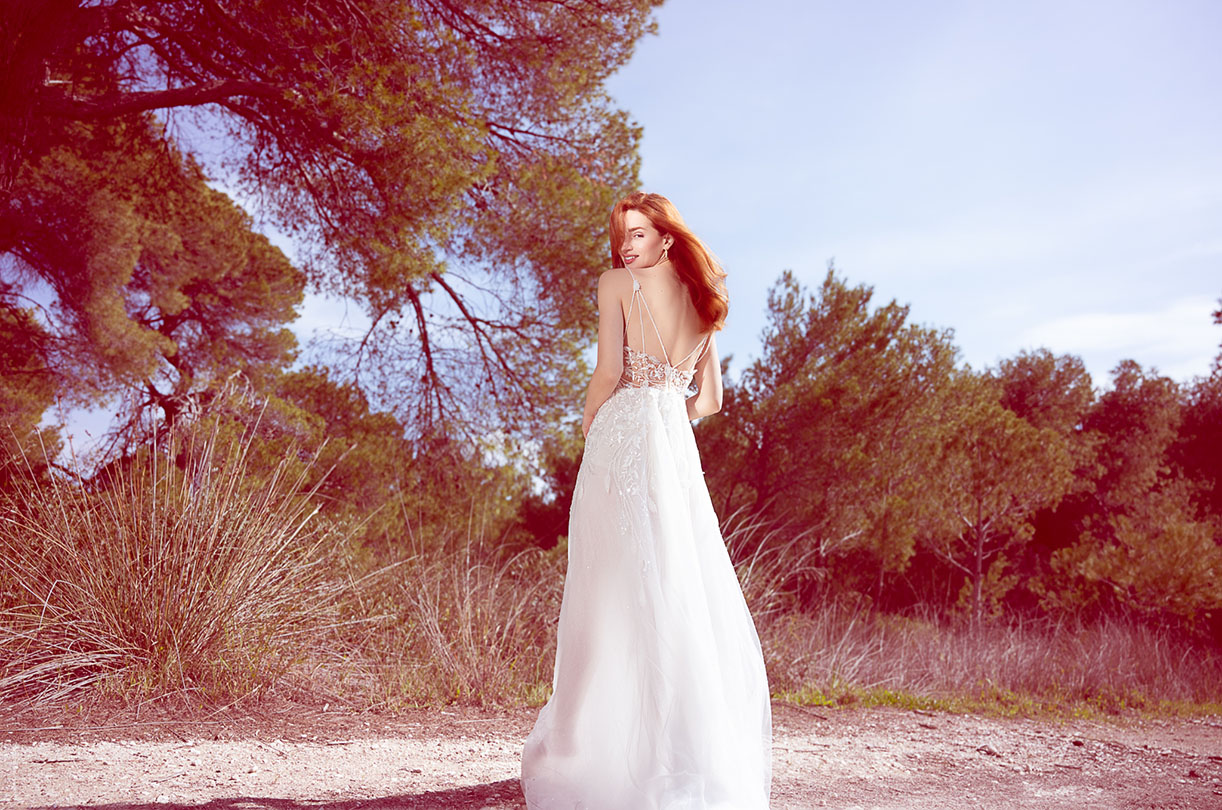 estel wedding dress back